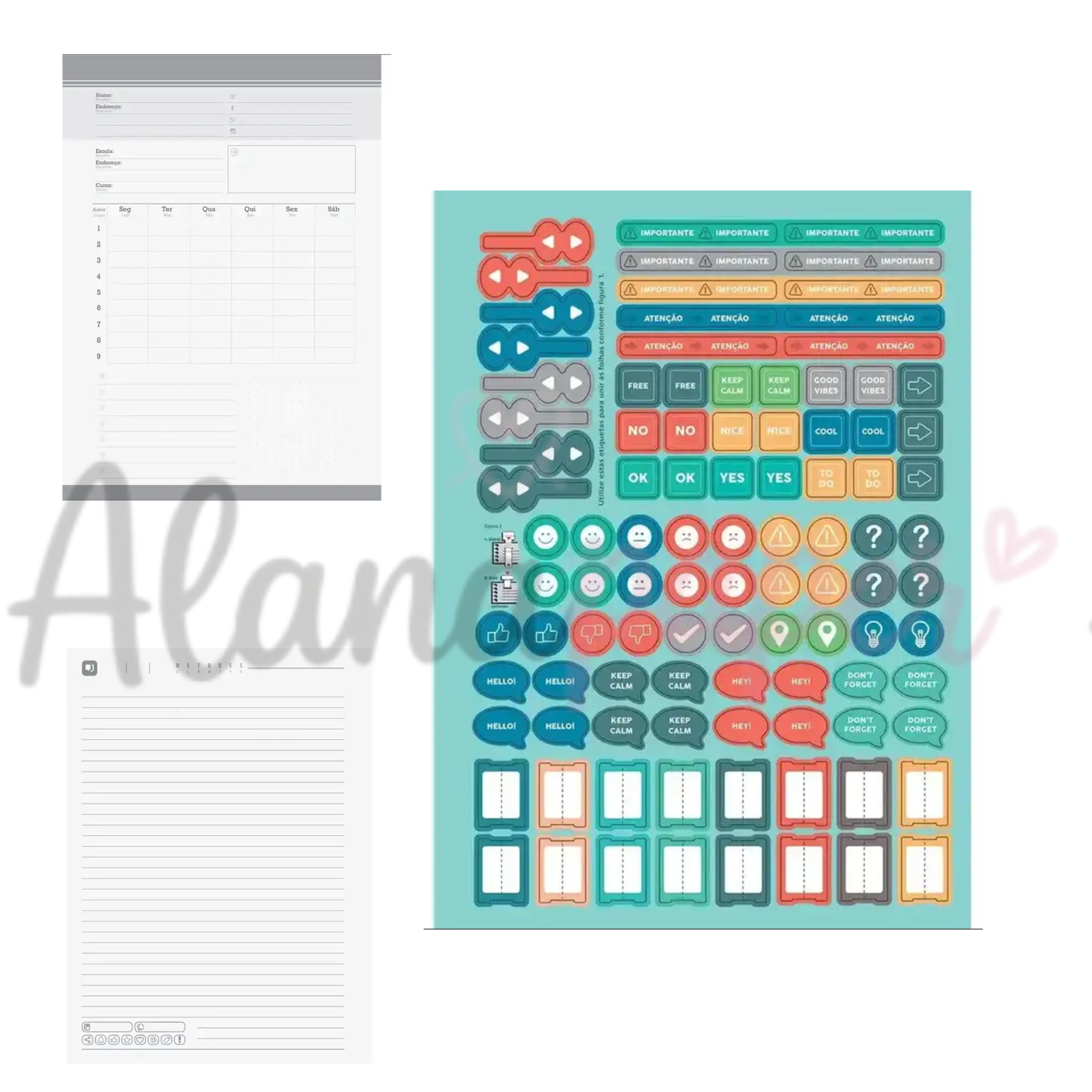 Caderno Universitário Mono Jandaia 1 Matéria 80 Folhas - Minimalista